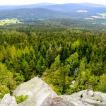Fichtelgebirge Felsen und Wald