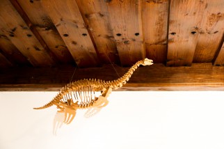 Dino Skelett in der Jugendherberge Eichstätt